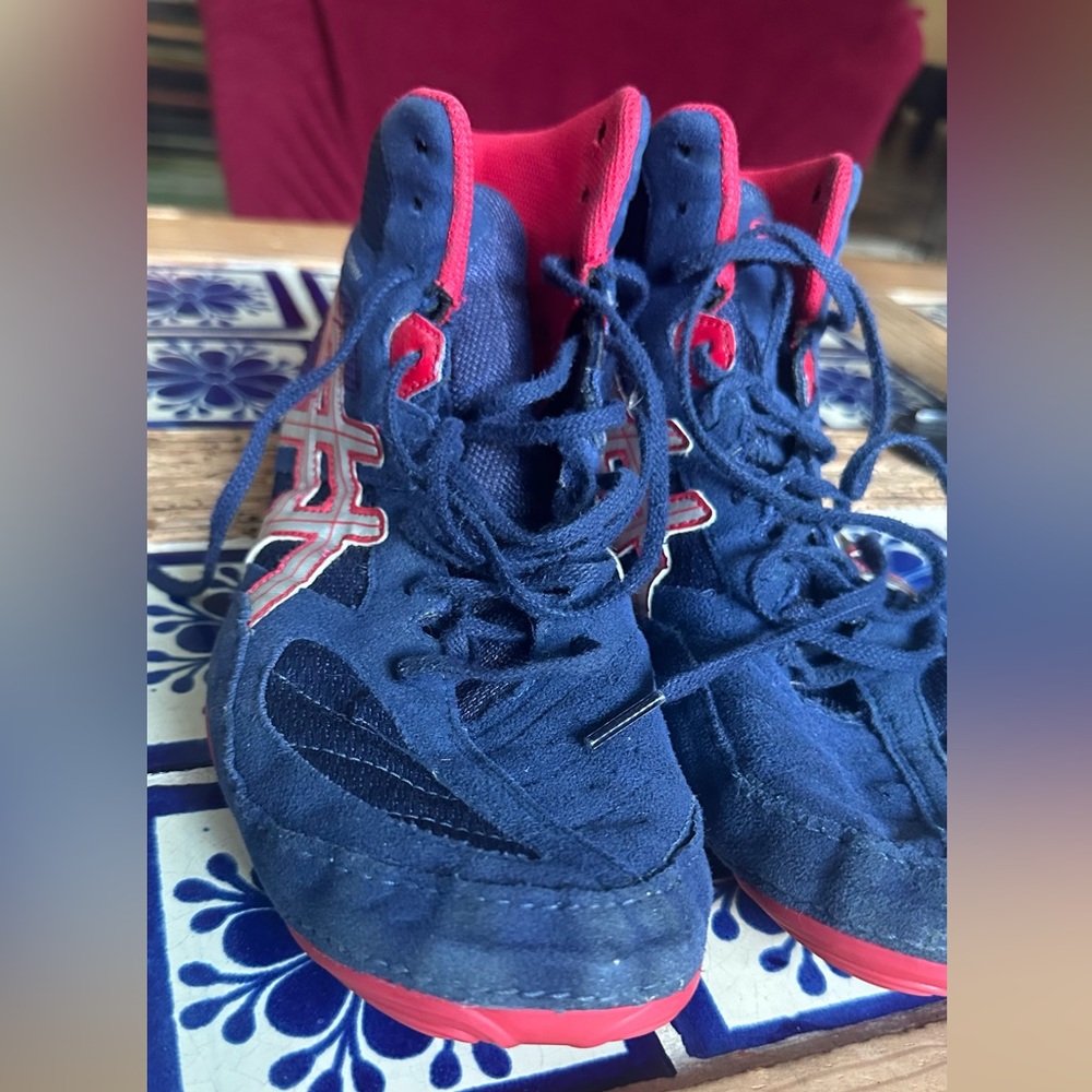 1 pair of wrestling shoes size 10